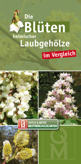 Die Blüten heimischer Laubgehölze im Vergleich