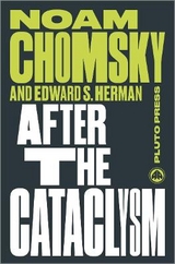 After the Cataclysm - Noam Chomsky, Edward S. Herman