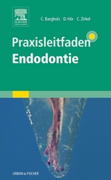 Praxisleitfaden Endodontie - Bargholz, Clemens; Hör, Dirk; Zirkel, Christoph