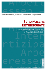 Europäische Betriebsräte - Axel Hauser-Ditz, Valentina Mählmeyer, Ludger Pries