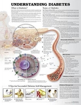 Understanding Diabetes Anatomical Chart - Anatomical Chart Company; Unger, Jeff