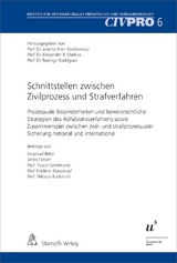 Schnittstellen zwischen Zivilprozess und Strafverfahren - Emanuel Bittel, János Fábián, Pascal Grolimund, Frédéric Krauskopf, Niklaus Ruckstuhl