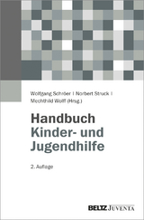 Handbuch Kinder- und Jugendhilfe - Schröer, Wolfgang; Struck, Norbert; Wolff, Mechthild