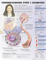 Understanding Type 1 Diabetes Anatomical Chart - Anatomical Chart Company; Unger, Jeff