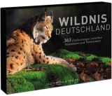 Tischaufsteller – Wildnis Deutschland - Birgit Günther