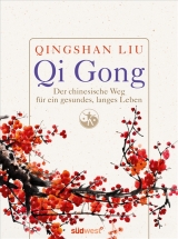 Qi Gong - Liu Qingshan