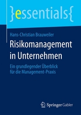 Risikomanagement in Unternehmen - Hans-Christian Brauweiler