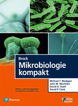 Brock Mikrobiologie kompakt - Michael T. Madigan, John M. Martinko, David A. Stahl, David P. Clark