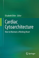 Cardiac Cytoarchitecture - 