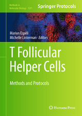 T follicular Helper Cells - 