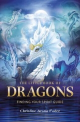 Little Book of Dragons - Christine Arana Fader