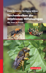 Taschenlexikon der Wildbienen Mitteleuropas - Erwin Scheuchl, Wolfgang Willner