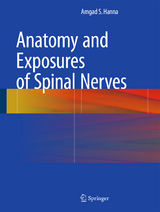 Anatomy and Exposures of Spinal Nerves - Amgad S. Hanna