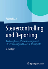 Steuercontrolling und Reporting - Robert Risse