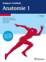 Endspurt Vorklinik: Anatomie 1