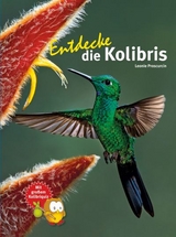 Entdecke die Kolibris - Leonie Proscurcin