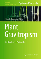 Plant Gravitropism - 