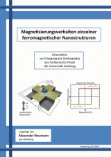 Magnetisierungsverhalten einzelner ferromagnetischer Nanostrukturen - Alexander Neumann