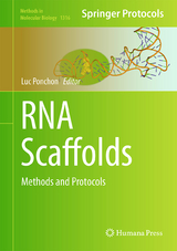 RNA Scaffolds - 