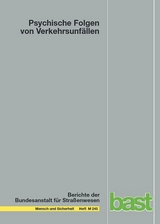 Psychische Folgen von Verkehrsunfällen - Kerstin Auerbach