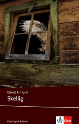 Skellig - David Almond