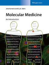 Molecular Medicine - Jens Kurreck, Cy Aaron Stein