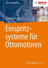 Einspritzsysteme für Ottomotoren - 