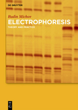 Electrophoresis - Budin Michov