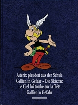 Asterix Gesamtausgabe 12 - Goscinny, René; Uderzo, Albert