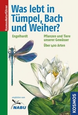 Was lebt in Tümpel, Bach und Weiher? - Engelhardt, Wolfgang; Martin, Peter; Rehfeld, Klaus