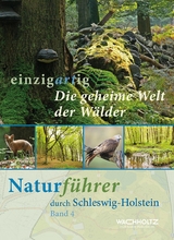 Die geheime Welt der Wälder - Götz Heeschen