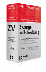 Zwangsvollstreckung - 