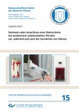 Nachweis oder Ausschluss einer Bakteriämie bei antibiotisch unbehandelten Pferden vor, während und nach der Extraktion von Zähnen - Isabelle Kern