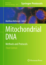 Mitochondrial DNA - 