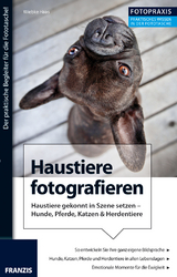 Foto Praxis Haustiere fotografieren - Wiebke Haas