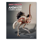 Body Worlds - Animaux à Corps Ouvert (FR) - Gunther von Hagens, Angelina Whalley