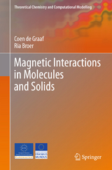 Magnetic Interactions in Molecules and Solids - Coen de Graaf, Ria Broer