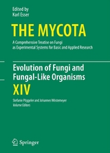 Evolution of Fungi and Fungal-Like Organisms - 