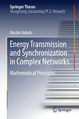 Energy Transmission and Synchronization in Complex Networks - Nicolás Rubido