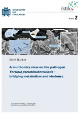 A multi-omics view on the pathogen Yersinia pseudotuberculosis – bridging metabolism and virulence - René Bücker