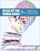 Atlas of the Human Brain - K Mai, Juergen; Majtanik, Milan; Paxinos, George