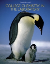 Foundations of Chemistry in the Laboratory - Hein, Morris; Arena, Susan