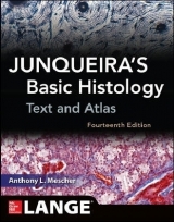 Junqueira's Basic Histology: Text and Atlas, Fourteenth Edition - Mescher, Anthony