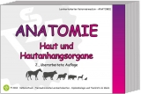 Anatomie: Haut und Hautanhangsorgane - Glück, Gabriele