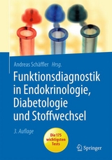 Funktionsdiagnostik in Endokrinologie, Diabetologie und Stoffwechsel - Schäffler, Andreas