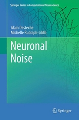 Neuronal Noise - Alain Destexhe, Michelle Rudolph-Lilith