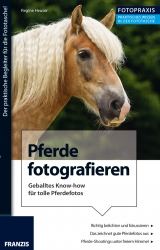 Foto Praxis Pferde fotografieren - Regine Heuser