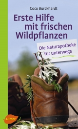 Erste Hilfe mit frischen Wildpflanzen - Coco Burckhardt