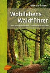 Wohllebens Waldführer - Peter Wohlleben