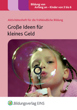 Große Ideen für kleines Geld - Goodman, Sam; Massey, Elaine